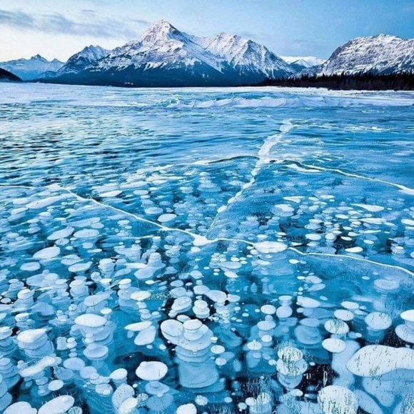 Meet your Posher, Mia - Picture 1 of 1